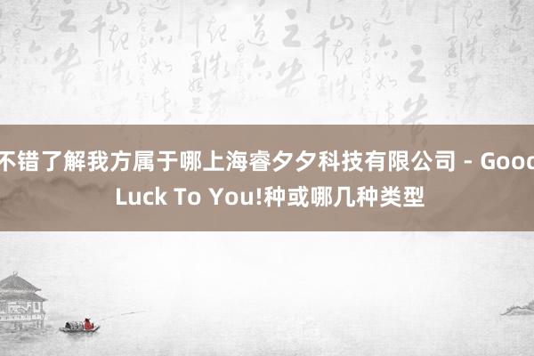 不错了解我方属于哪上海睿夕夕科技有限公司 - Good Luck To You!种或哪几种类型