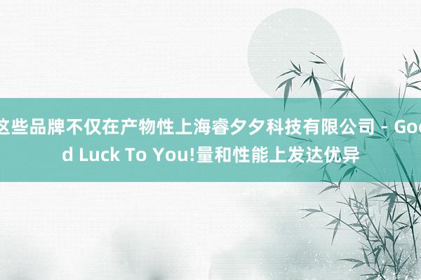 这些品牌不仅在产物性上海睿夕夕科技有限公司 - Good Luck To You!量和性能上发达优异