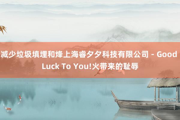 减少垃圾填埋和烽上海睿夕夕科技有限公司 - Good Luck To You!火带来的耻辱
