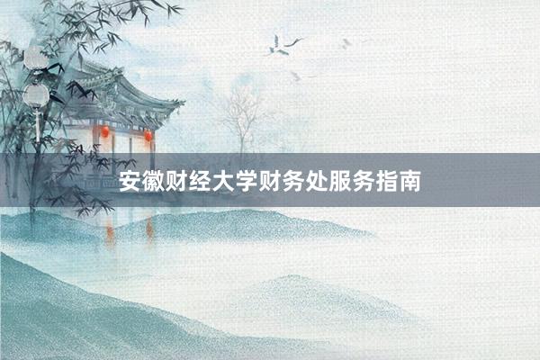 安徽财经大学财务处服务指南