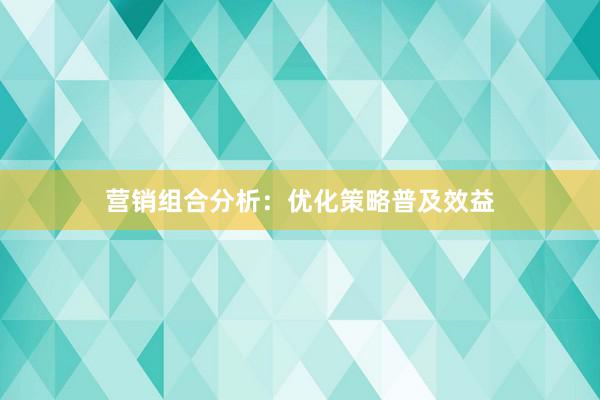 营销组合分析：优化策略普及效益